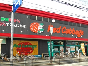 レッドキャベツ　屋形原店